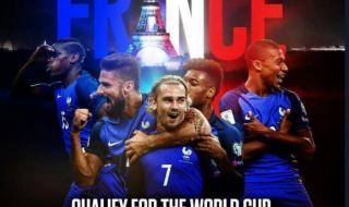 巴西vs法国2006世界杯 巴西vs法国2006世界杯